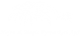 Højen & Magic Fyrværkeri ApS logo med fyrværkeri