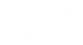 Højen & Magic Fyrværkeri ApS logo med fyrværkeri